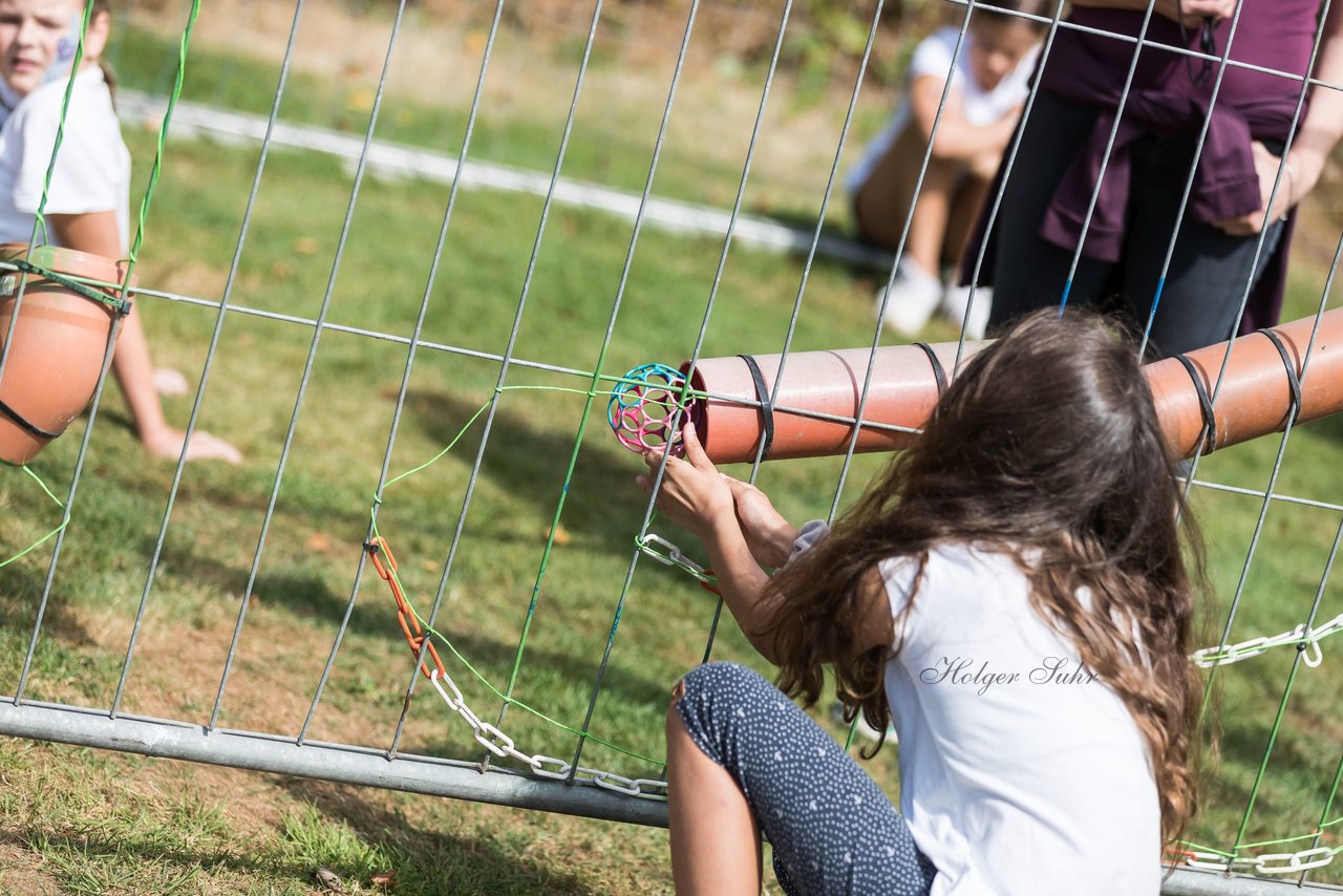 Bild 441 - Vogelschiessen